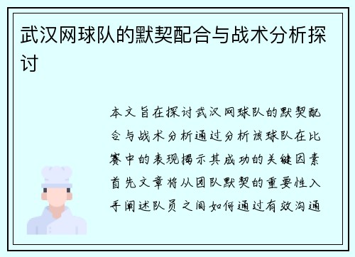 武汉网球队的默契配合与战术分析探讨