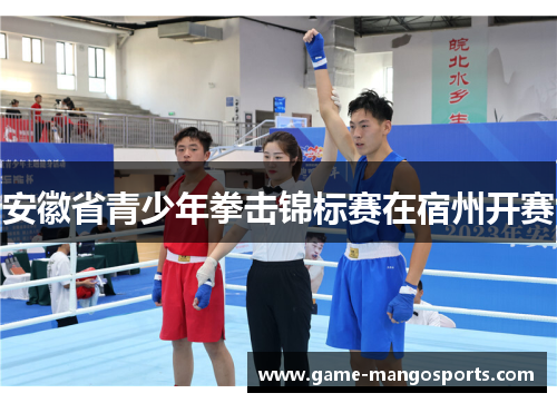 安徽省青少年拳击锦标赛在宿州开赛
