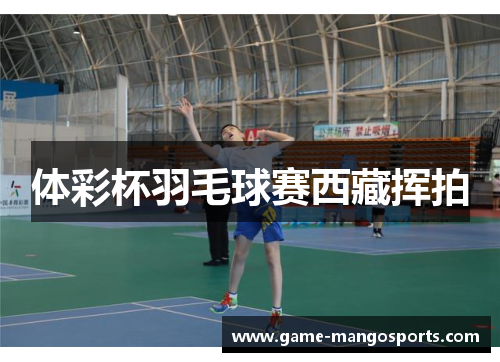 体彩杯羽毛球赛西藏挥拍
